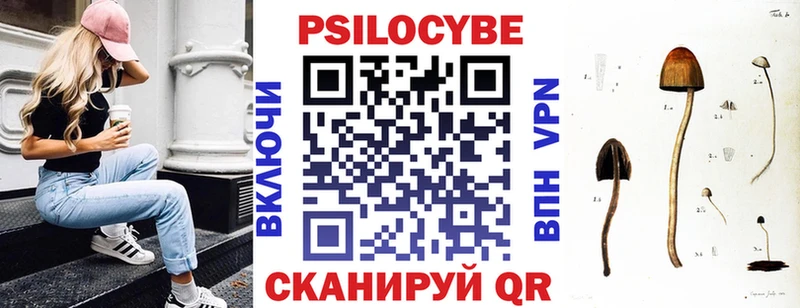Галлюциногенные грибы Psilocybine cubensis  мега tor  Юхнов  сколько стоит 